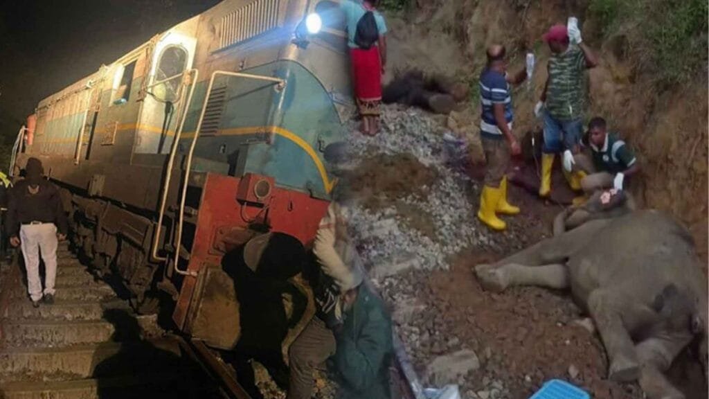 Meenagaya accident are punished: Warning