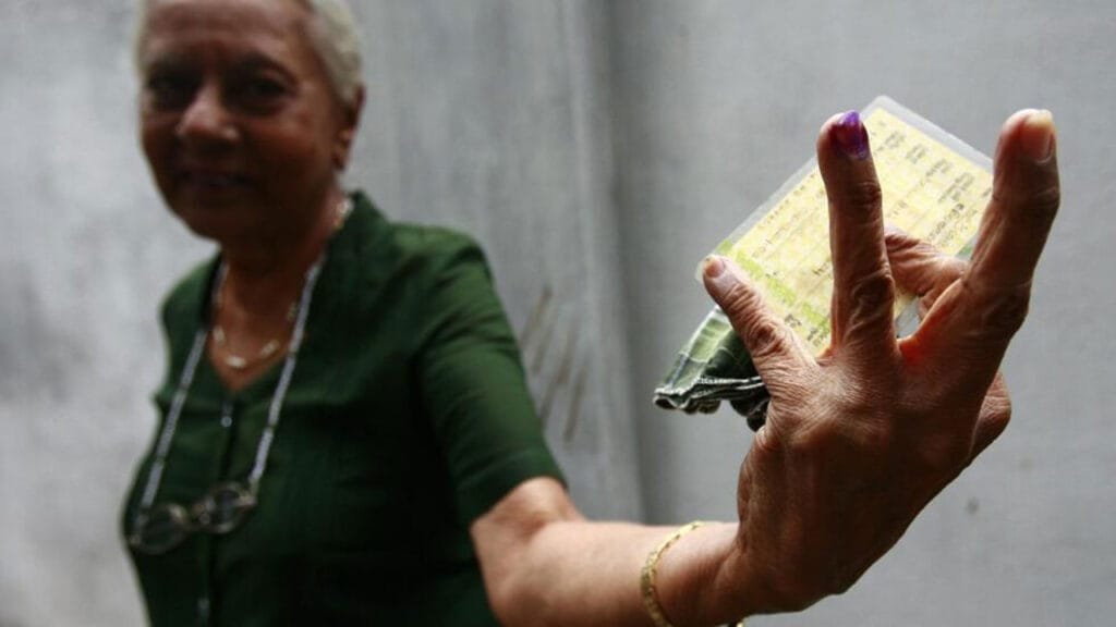 Local Government Elections