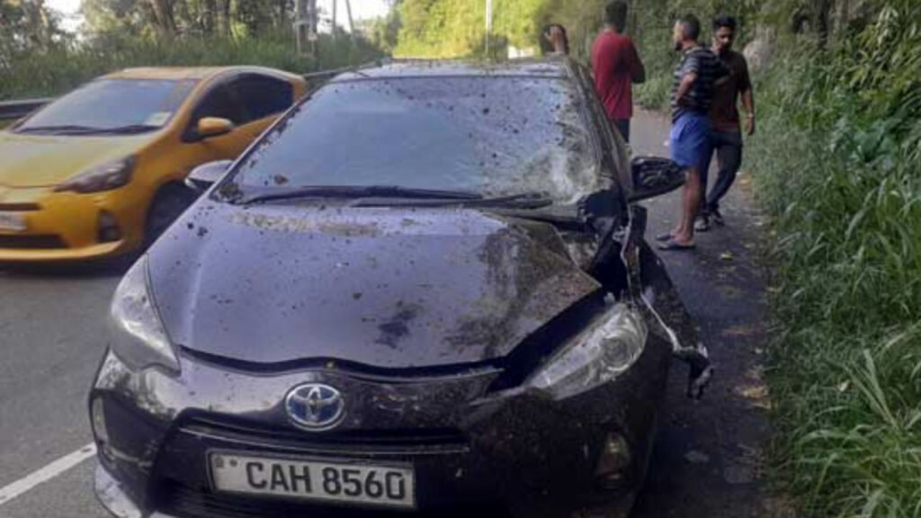 A terrible accident while on a picnic