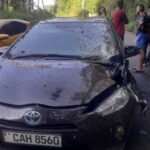 A terrible accident while on a picnic