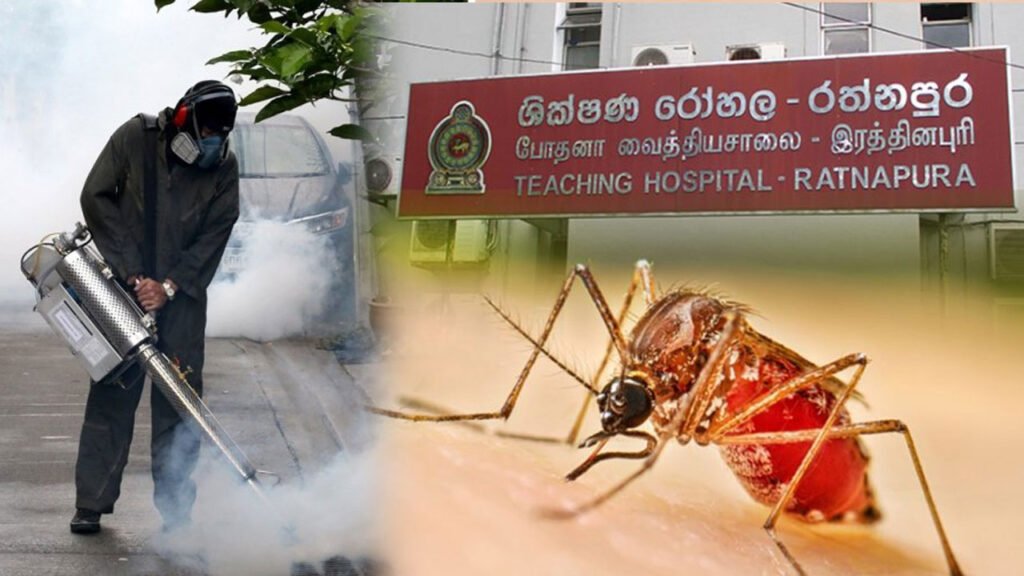 Dengue inside Ratnapura Hospital