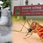Dengue inside Ratnapura Hospital
