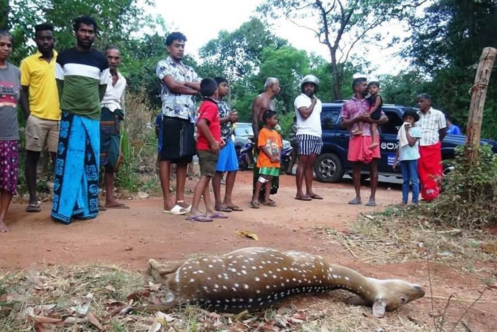“මුවා මැරූ සැරයන්”ලා ඇතුළු පිරිසට අධිකරණ නියෝගයක්