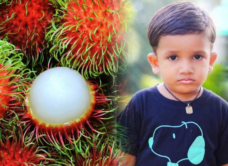 රඹුටන් ගෙඩියක් පුංචි පුතු මරු තුරුළට යවයි ; මිද්දෙණිය සසල කළ ඛේදවාචකය
