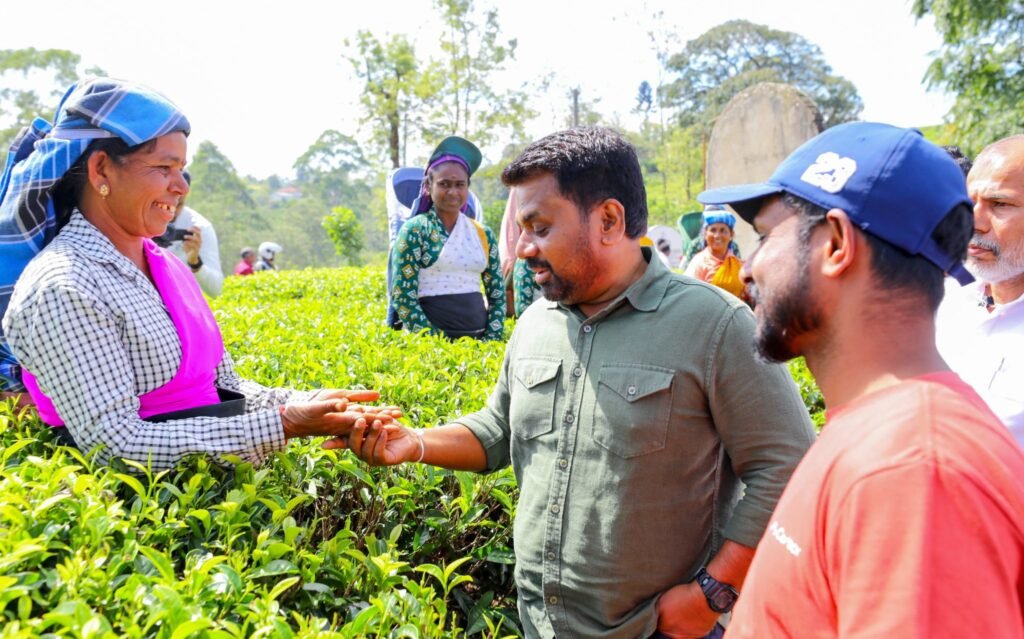 වතු කම්කරුවන් අතරට ගිය ජනපති අනුර!(PHOTOS)
