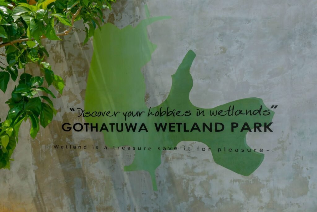 ගොතටුව වෙට්ලන්ඩ් පාක් තෙත් බිම් උද්යානය සංරක්ෂණය කිරීමට පියවර!