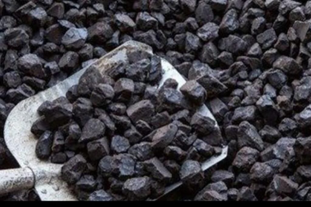 බාල ගල් අඟුරුවල පාඩුව බිලියන 100 ක්?