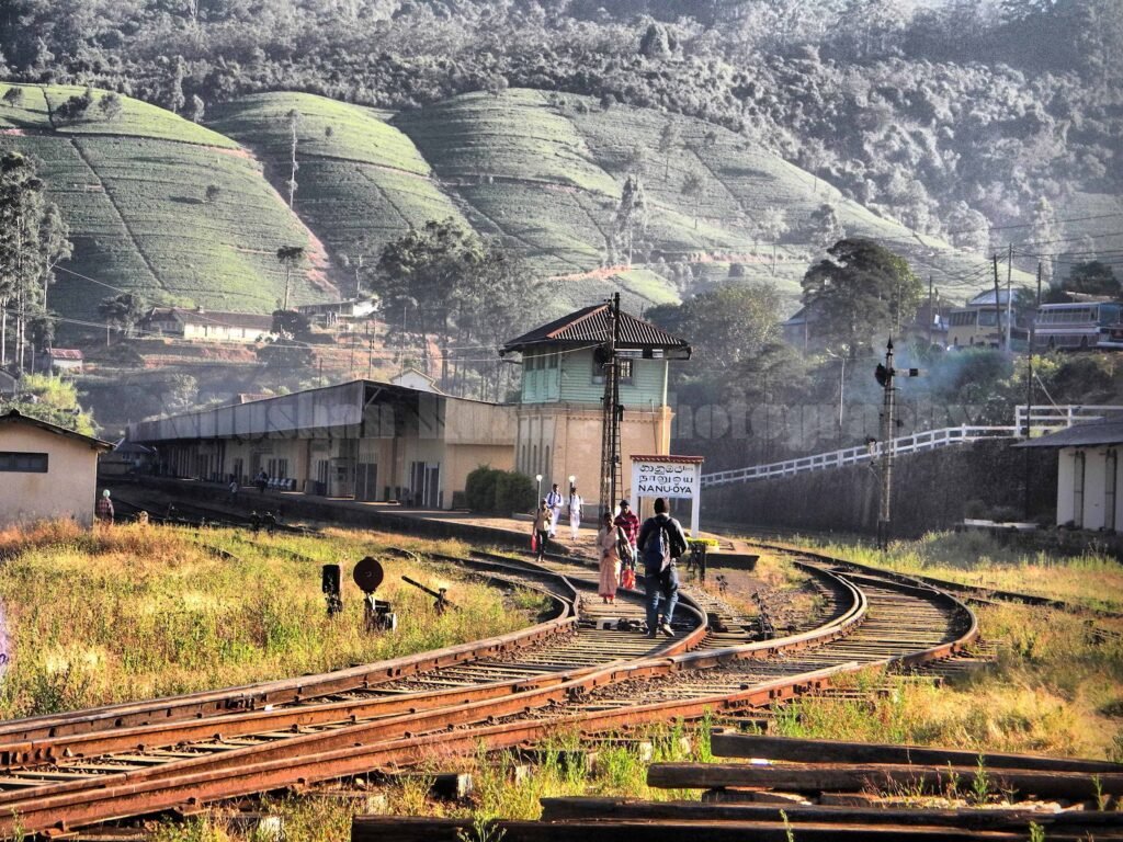 දිට්වා ආපදා ප්රතිසංස්කරණ:බදුල්ල – නානු ඔය දුම්රිය ගමනාගමනය යළි ඇරඹේ!