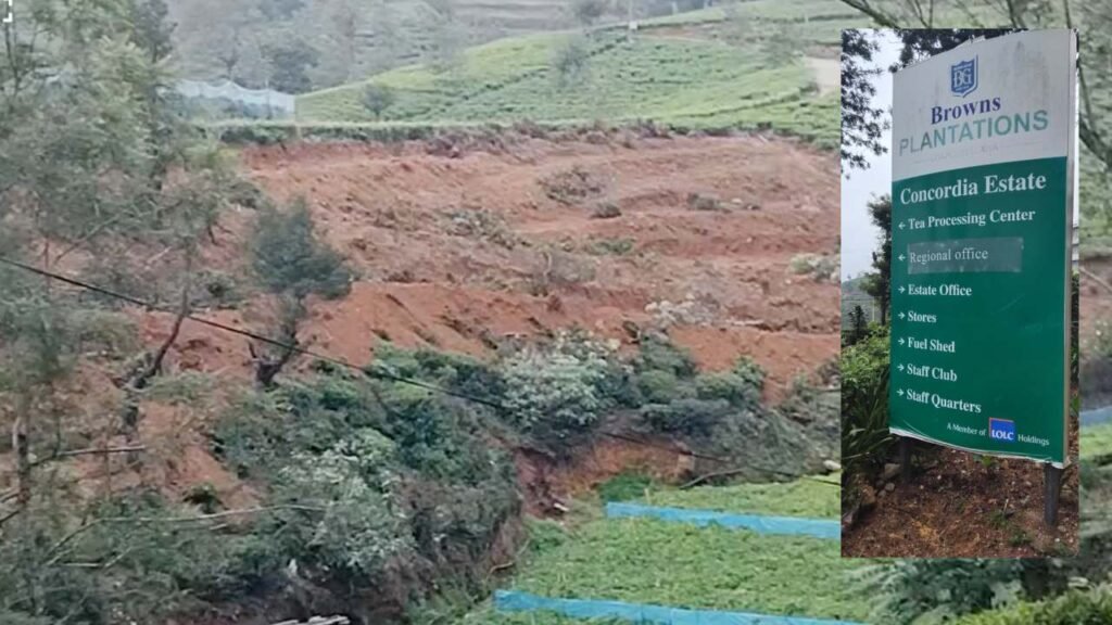 කඳපොල කොන්කෝඩියා වත්තේ තේ සංහාරයක් : මලයහ ජනයා මානව හිමිකම් යයි!