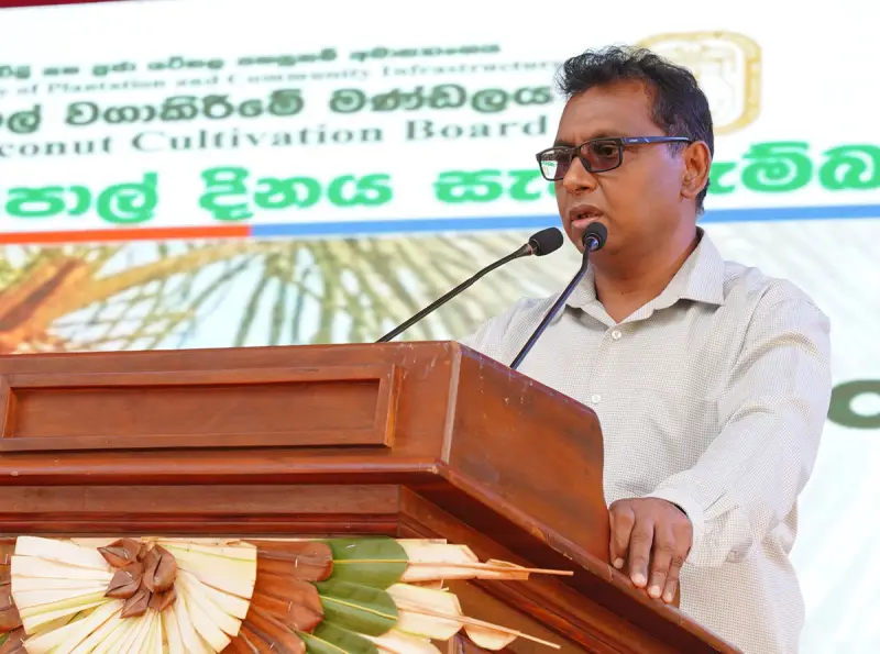 අපනයන අලුත් කරන තැඹිලි ගම්මාන – ග්‍රාමීය ආර්ථිකය නැංවීමටත් සැලසුම්!
